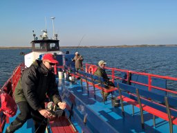 Competities HSV Alfheim